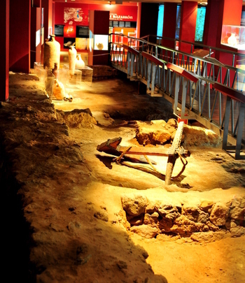 Mazarrón Municipal Archaeological Museum The Roman Fish Salting Factory