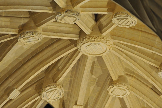 Orihuela Cathedral