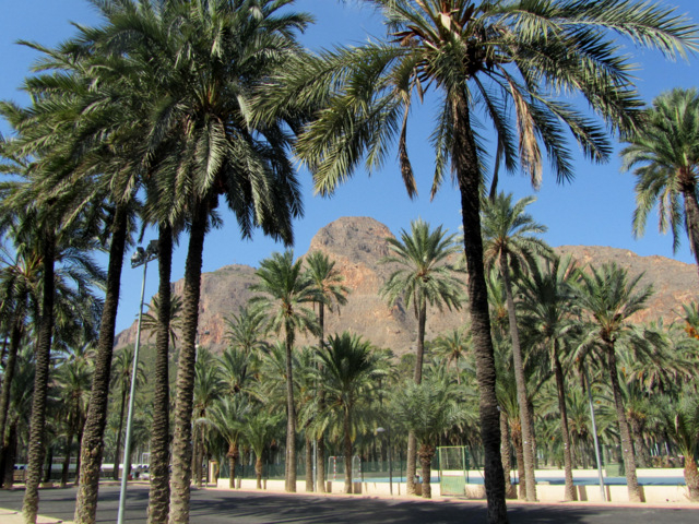 A Moorish morning out in Orihuela