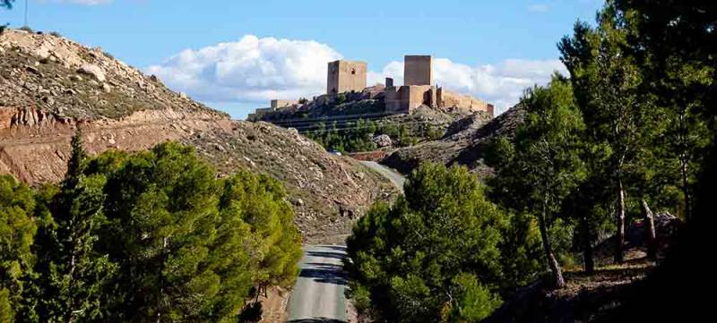 Five great walks in the Region of Murcia!