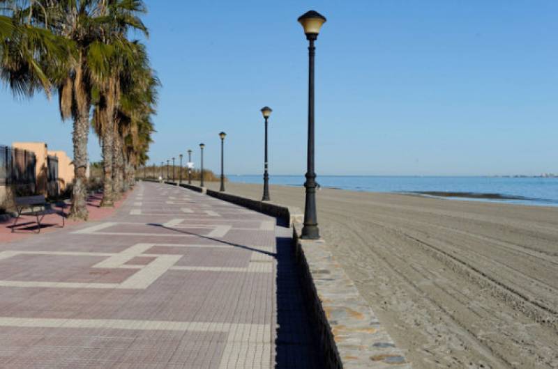 8 dog-friendly beaches in the Region of Murcia