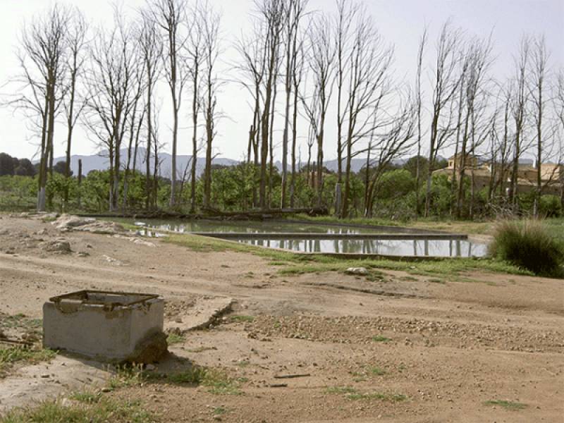 The legend of Lady Eruvigi in La Fuente del Pinar in the Yecla countryside