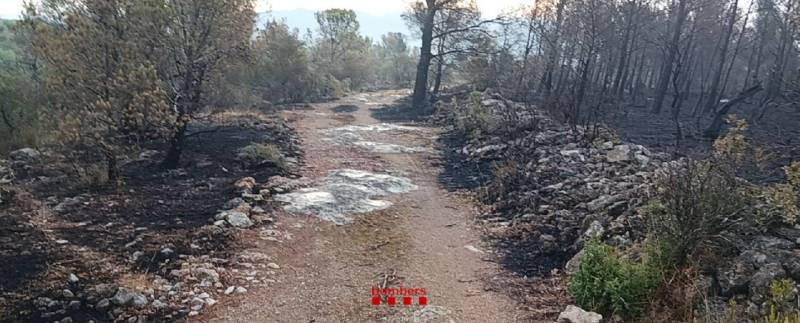 One dead as Catalonia wildfire finally declared under control