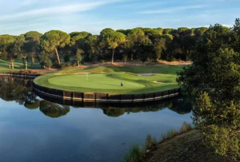 Spain chosen as 2031 Ryder Cup hosts for second time ever