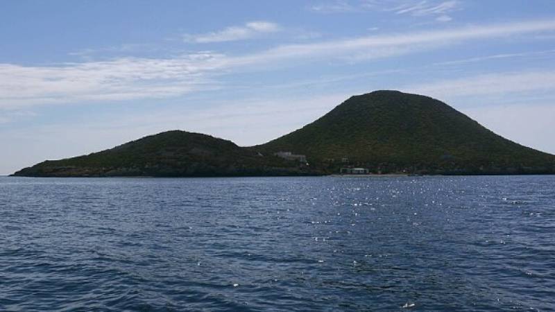 Fewer birds stopping off at Isla Grosa as migration numbers fall by half