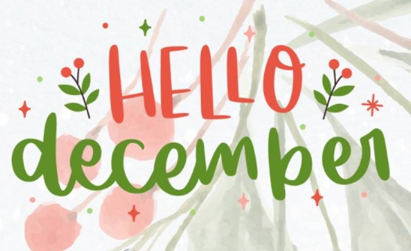 December entertainment and activities at La Palmera Bar & Grill, Los Urrutias