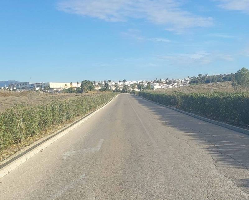 B Clean gardening volunteers trimming hedges and planning ahead for 2026