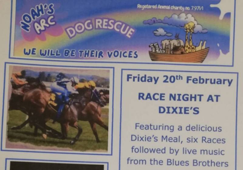 Friday February 20 Race night at Dixie's Camposol