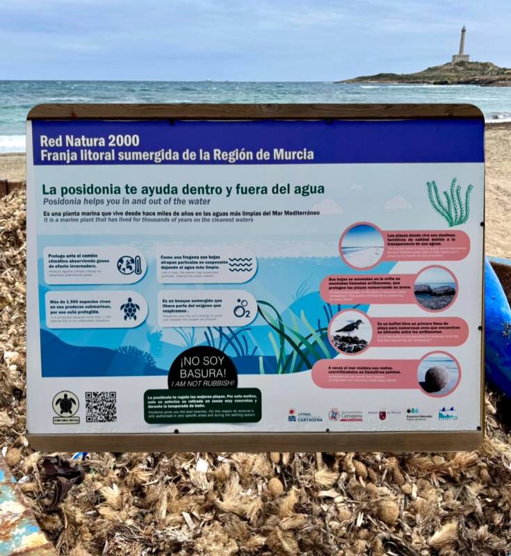 Environmental group warns of damage to Cartagena's beaches during the cleaning process