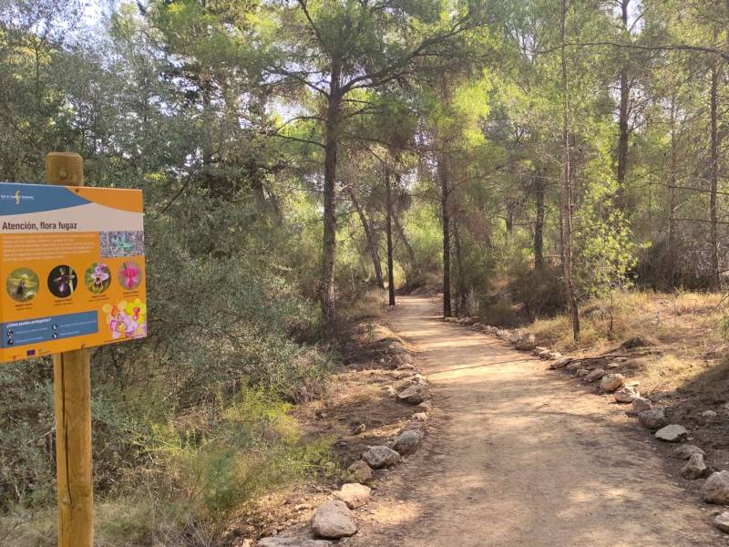 62 kilometres of new hiking and cycling trails coming to Murcia's forests