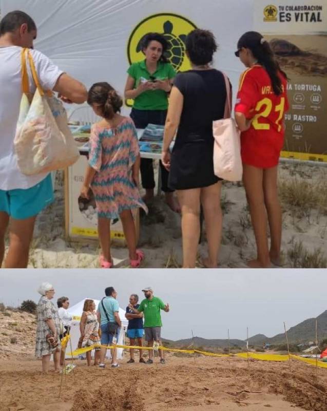 June 27 Turtle awareness morning in San Pedro del Pinatar!
