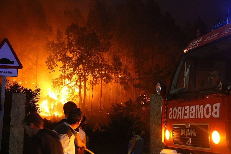 Spain's wildfire season off to worrying start as burned land more than doubles