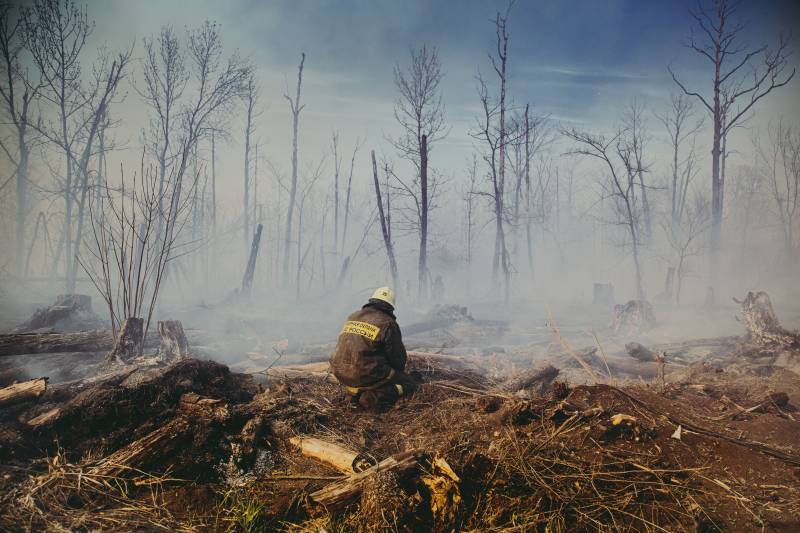 Spain's wildfires have already burned through more than 50,000 hectares this year, nearly 40% of the entire EU total