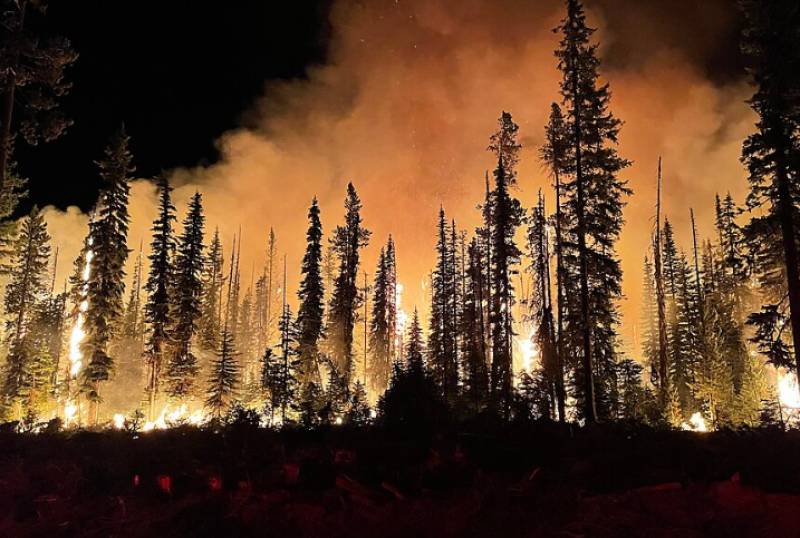 Spain has already burned through 38% more forest this year than at the same point in 2025, and the worst weeks may still be ahead