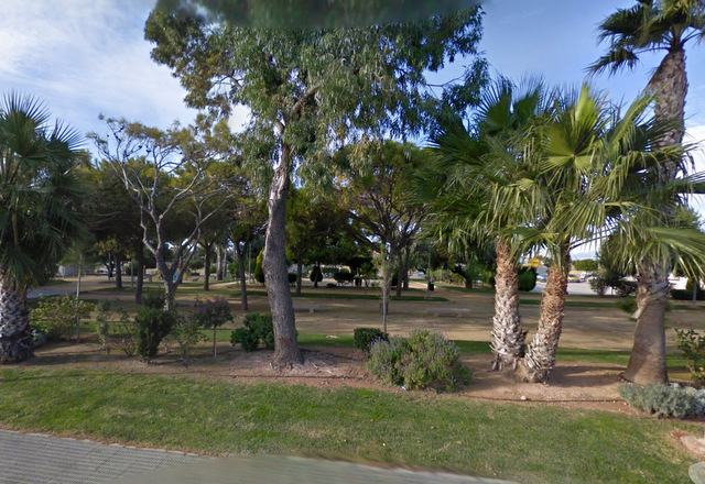 Parque de los Pinos Los Dolores de Pacheco, Torre Pacheco