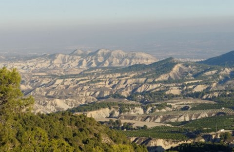 Sierra Espuna